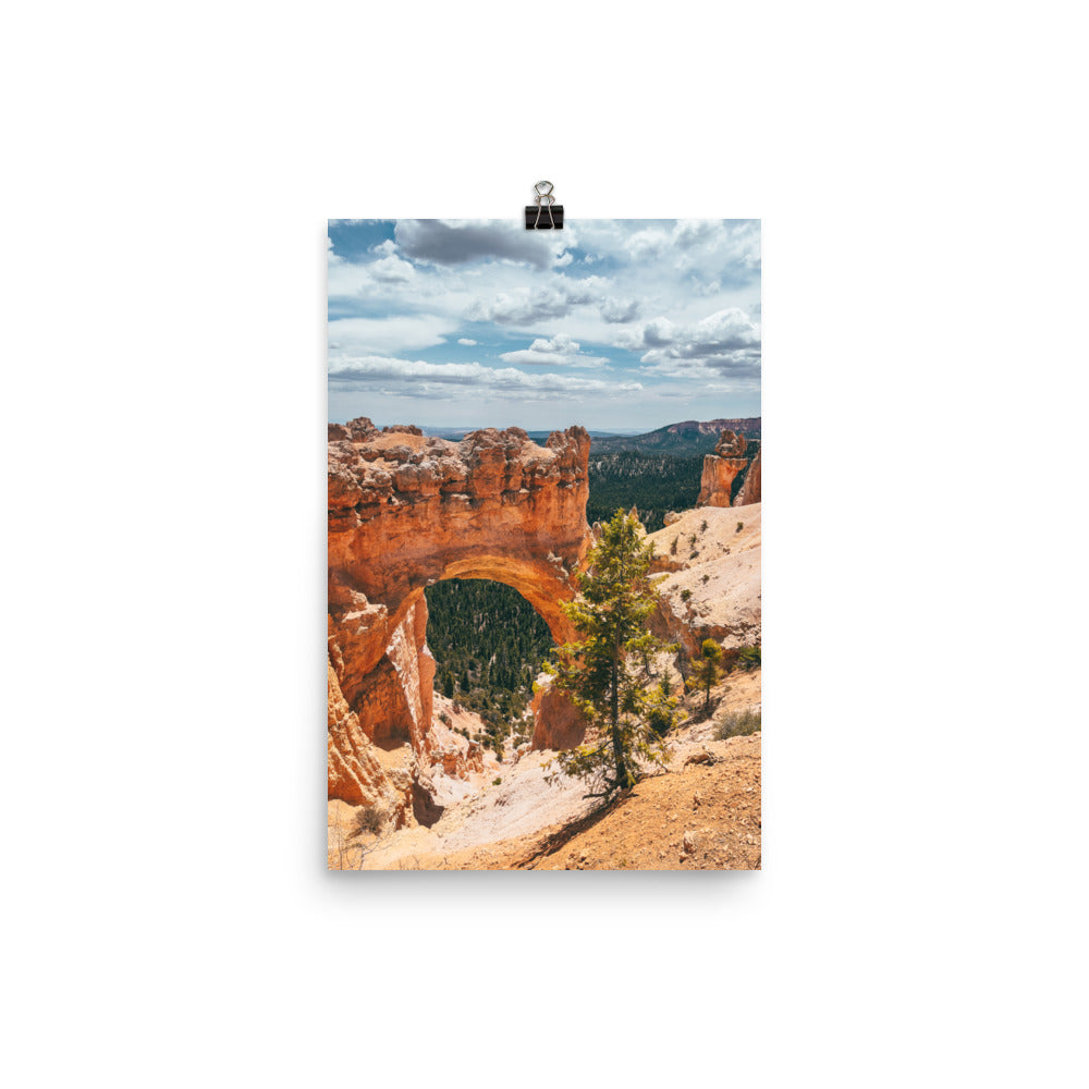 Poster Print | NATURAL ARCH