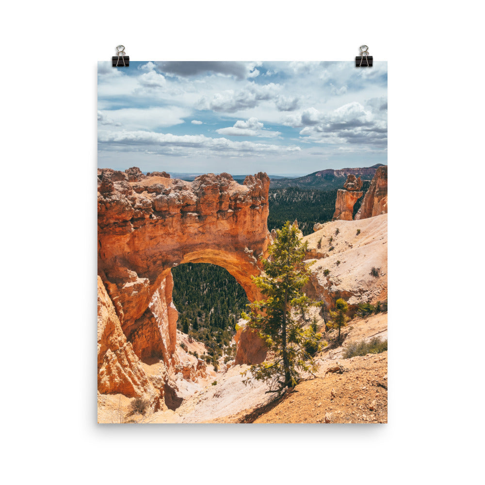 Poster Print | NATURAL ARCH