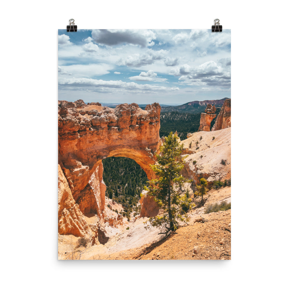 Poster Print | NATURAL ARCH