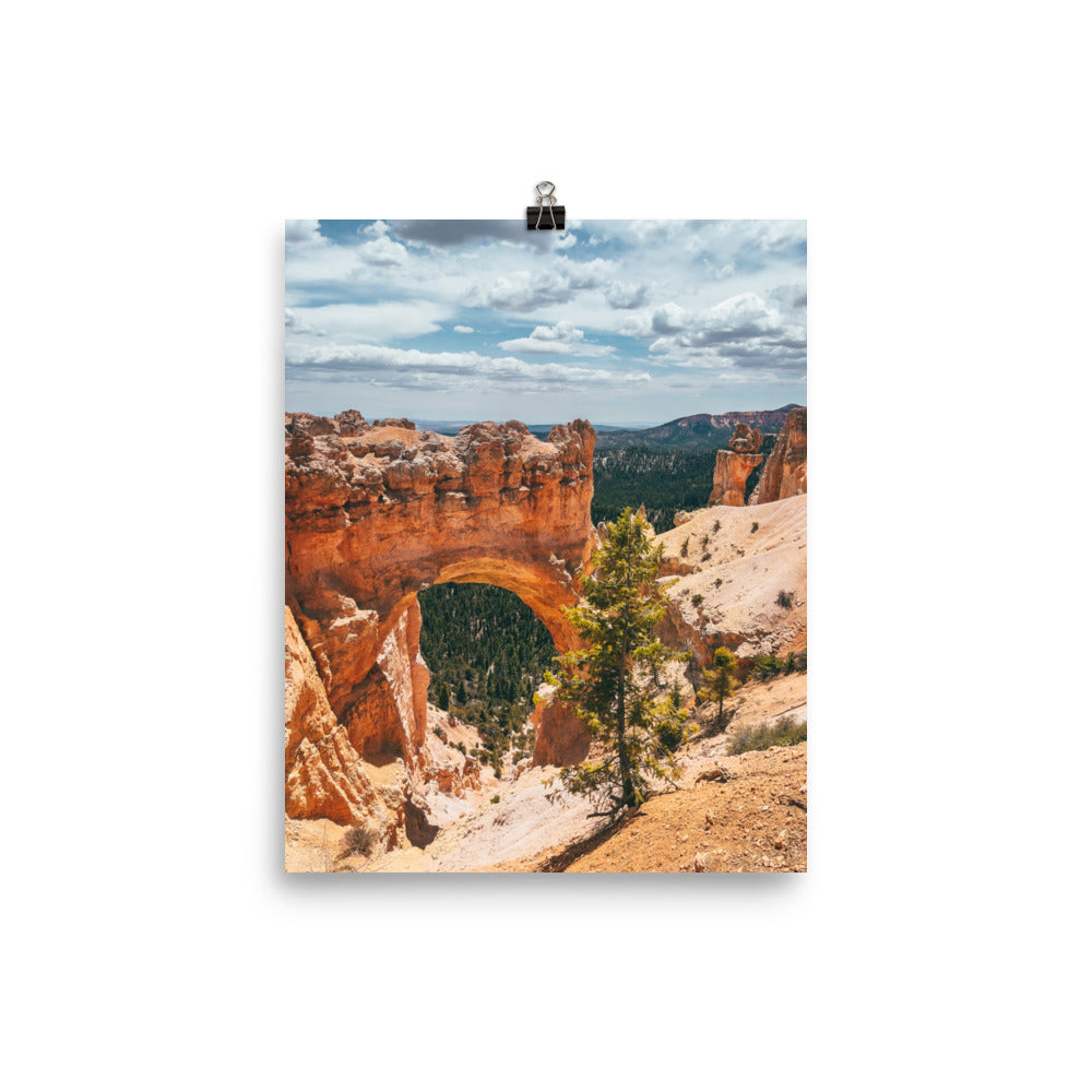 Poster Print | NATURAL ARCH